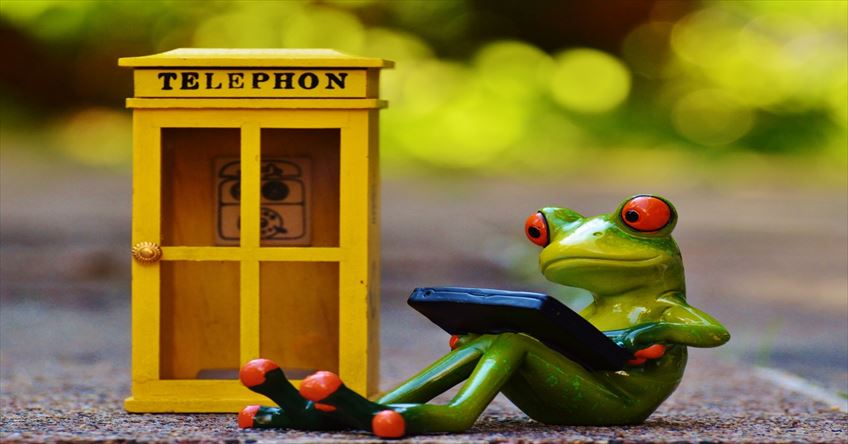 frog-phone-booth-phone-computer-laptop-email_444